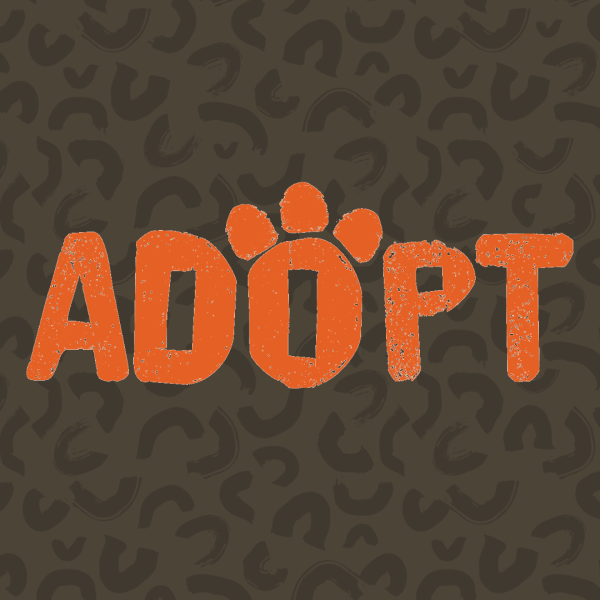 adopt graphic
