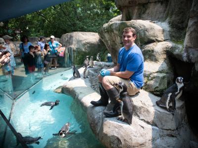 animal care team with penguins